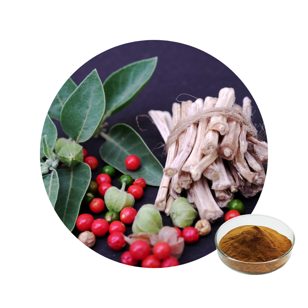 Extracto de raíz de ashwagandha en polvo