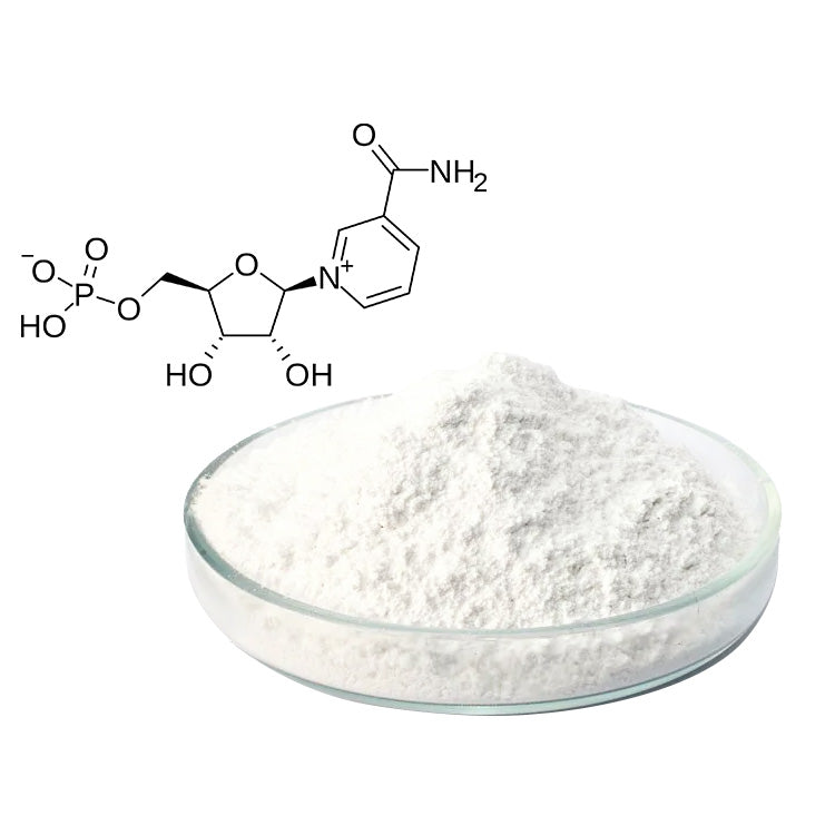 Nicotinamide Adenine Dinucleotide (NAD+)