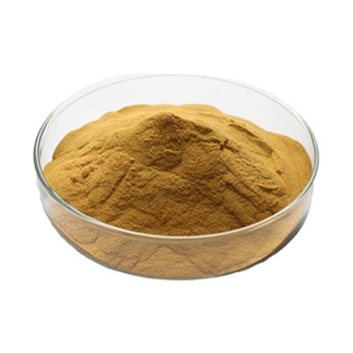 Sea Buckthorn Extract Powder - sheerherb
