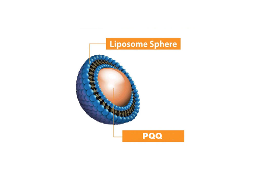 PQQ Applications Unleashed: From Pellets to Liposomes, What Works Best