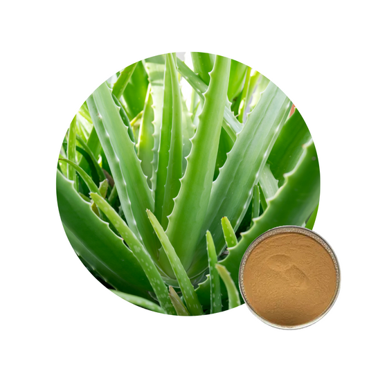Aloe Vera Extract Aloe Emodin