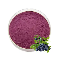 Bilberry Extract Powder - sheerherb