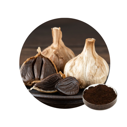 Black Garlic Extract Powder