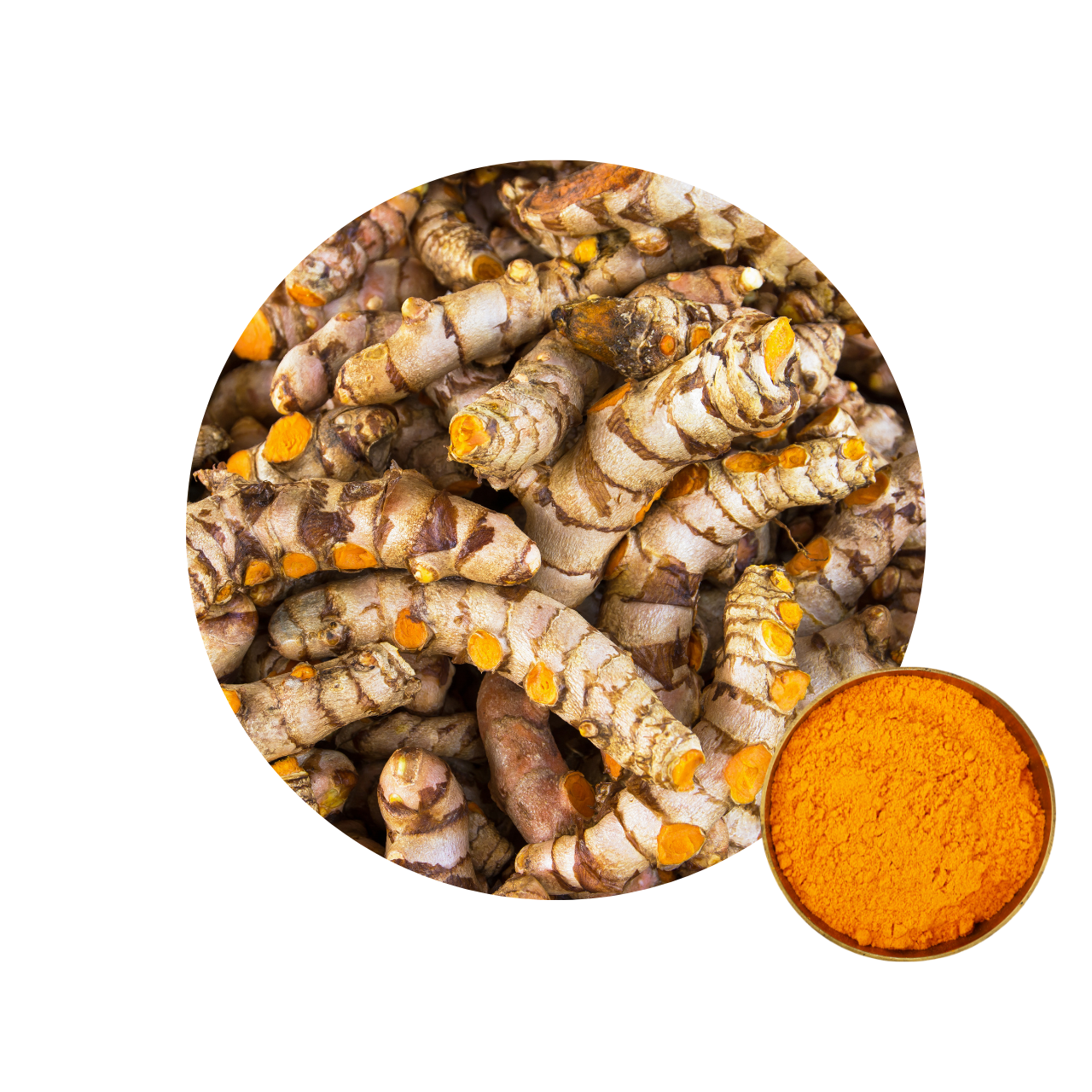 Curcumin Pulver