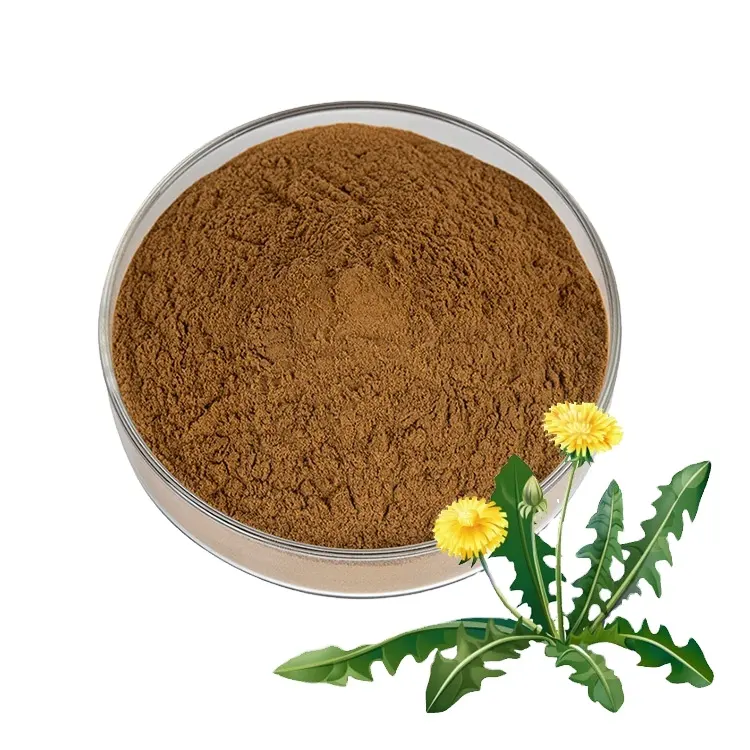 Dandelion Extract Powder - sheerherb