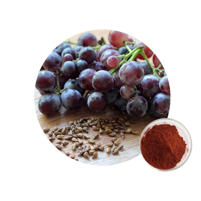 Grape Seed Extract Powder