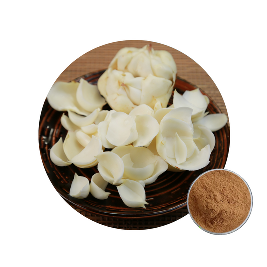 Lily Extract Powder