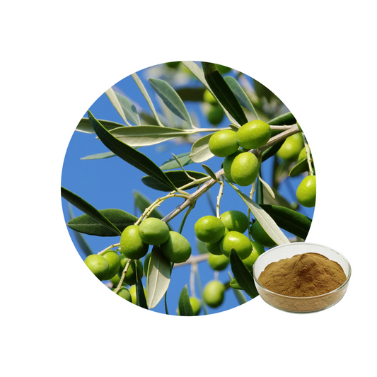 Olive Leaf Extract Powder