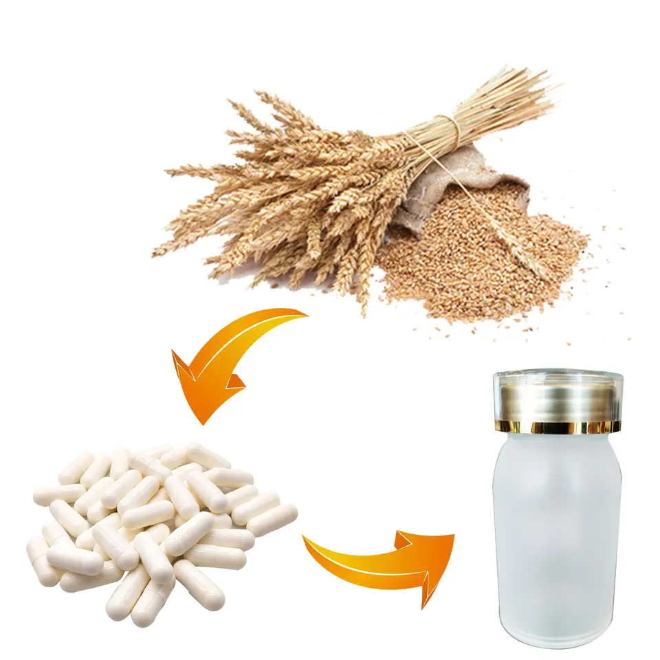 Wheat Germ Extract Powder - sheerherb