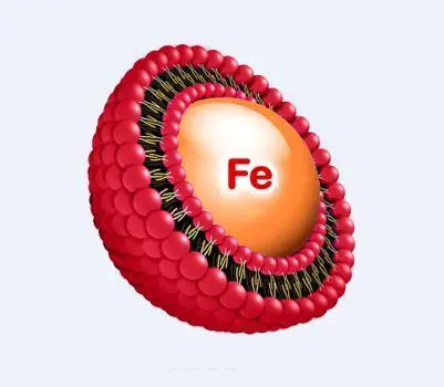 Liposome Iron