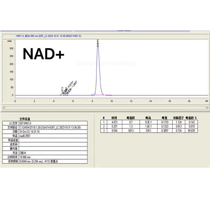 Nicotinamide Adenine Dinucleotide (NAD+) Powder - sheerherb