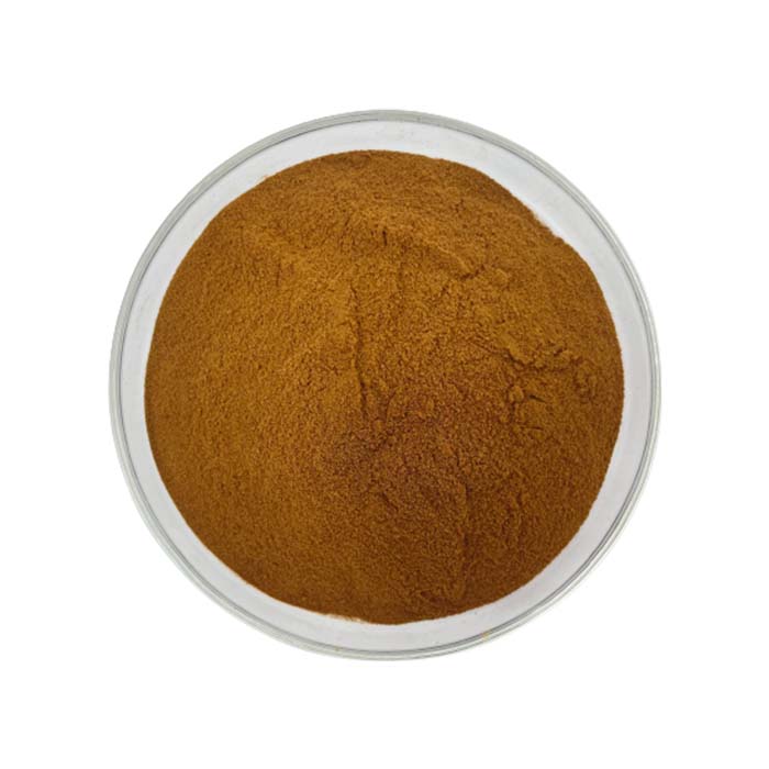 Chaga Extract Powder - sheerherb