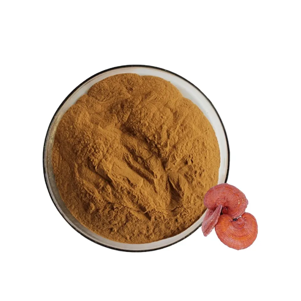 Ganoderma Lucidum Extract Powder - sheerherb