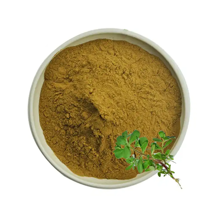 Purslane Extract Powder - sheerherb