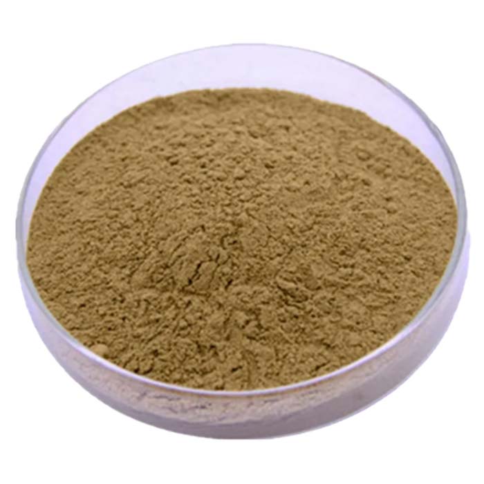 Summer Snowflake Bulb Extract - sheerherb