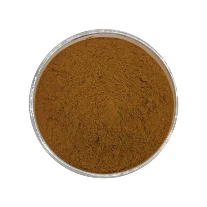 Witch Hazel Extract Powder - sheerherb