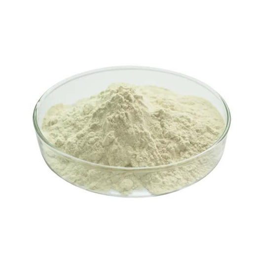 Garlic Extract Powder - sheerherb
